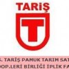 S.S TARİŞ PAMUK TARIM SATIŞ KOOP.LERİ BİRLİĞİ İPLİK FAB.