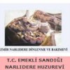 T.C EMEKLİ SANDIĞI NARLIDERE HUZUEREVİ